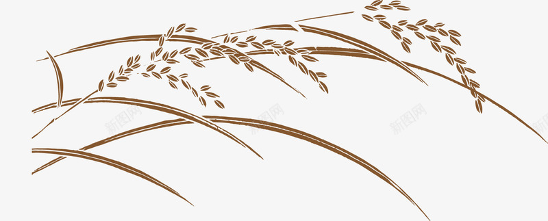 手绘稻米png免抠素材_88icon https://88icon.com 大米 广告设计 稻子 稻田 稻穗 耕种 耕种画 金色麦穗 黃色稻穗