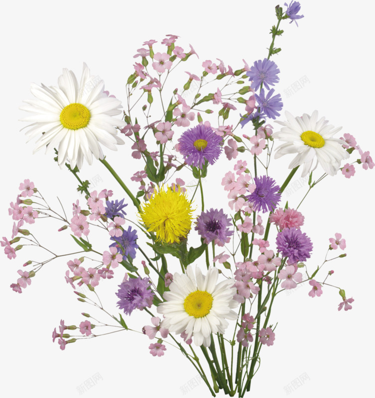 花草图案花卉背景png免抠素材_88icon https://88icon.com 庆典花草 手绘花卉素材 花草画 花草矢量图 花草矢量图素材 花草线描 花草设计素材