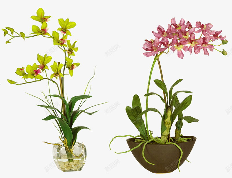 植物盆栽花草景观png免抠素材_88icon https://88icon.com 室内 春 景观 植物 盆栽 绿色 自然 花草