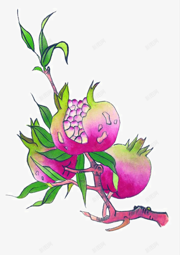 国画石榴png免抠素材_88icon https://88icon.com 中国画 中国风装饰 写意国画 国画 国粹 大写意 宣纸国画 彩墨花草 画