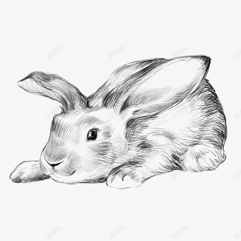 大耳朵兔兔png免抠素材_88icon https://88icon.com 兔子 卡通兔子 卡通动物 卡通手绘 可爱 素描 萌宠