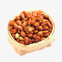 东北松子png图片下载 东北松子素材