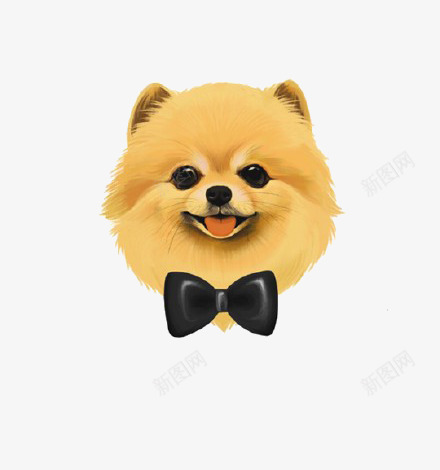 手绘可爱小狗博美png免抠素材_88icon https://88icon.com 博美 卡通博美 可爱小狗 小狗 狗狗