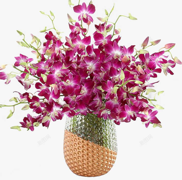 精美的花瓶装石斛花花束png免抠素材_88icon https://88icon.com 石斛兰 石斛花 精美 紫色石斛花 花束