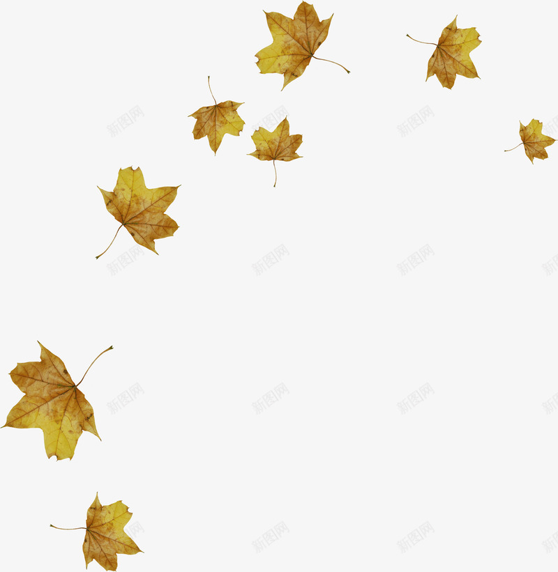 秋季凋零的树叶png免抠素材_88icon https://88icon.com 凋零的树叶 叶子 叶片 枫叶 树叶 秋天 落叶