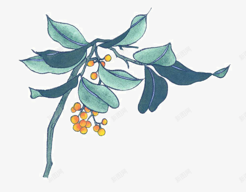 彩墨国画花草png免抠素材_88icon https://88icon.com 国画写生小品 国画花卉 宣纸花草 手绘国画 手绘花草 装饰植物手绘