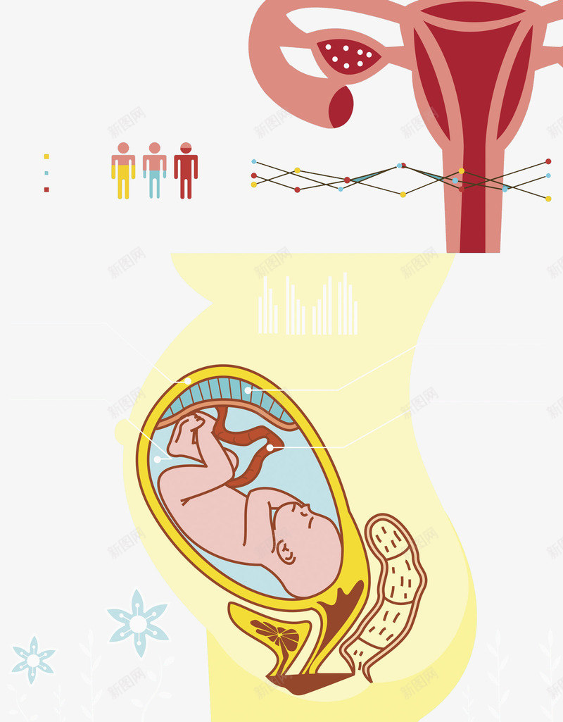 熟睡的胎儿png免抠素材_88icon https://88icon.com 卡通 呵护子宫 子宫 孕妇 孕育生命 生殖器官 盆腔 胎儿