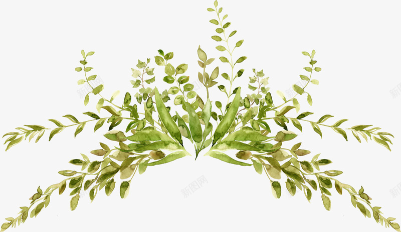 文艺清新花草海报装饰png免抠素材_88icon https://88icon.com 小清新花草装饰 文艺花草PPT制作 植物插画 海报设计 花草包装礼盒 花草插画 花草装饰