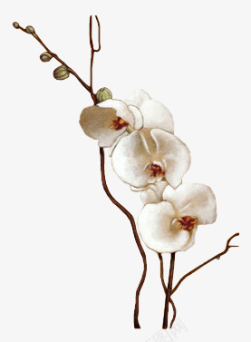 花卉图案创意花草png免抠素材_88icon https://88icon.com 卡通装饰素材 国画花草素材 绿植花草 花卉ps素材 花草图片 花草线描