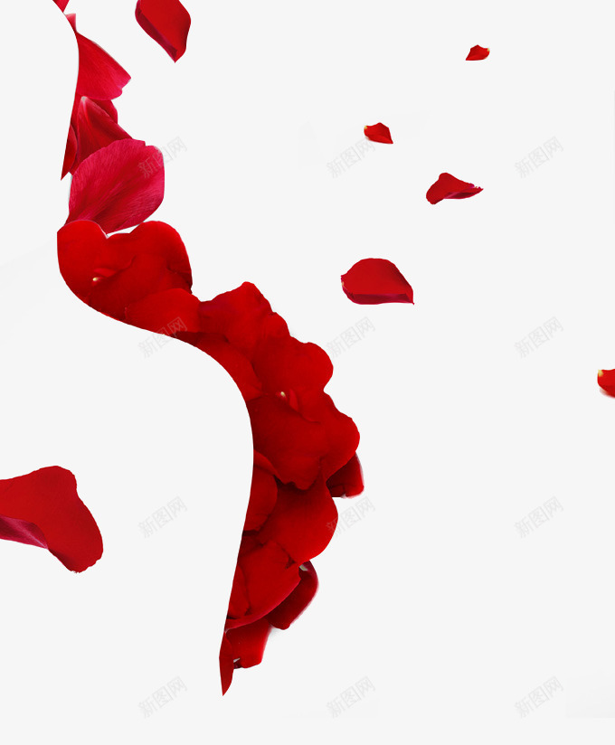 玫瑰花瓣拼凑S型线条png免抠素材_88icon https://88icon.com PNG S型线条 拼凑图片 玫瑰花 花瓣