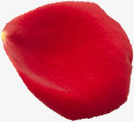 鲜艳红色玫瑰花瓣png免抠素材_88icon https://88icon.com 玫瑰 红色 花瓣 鲜艳