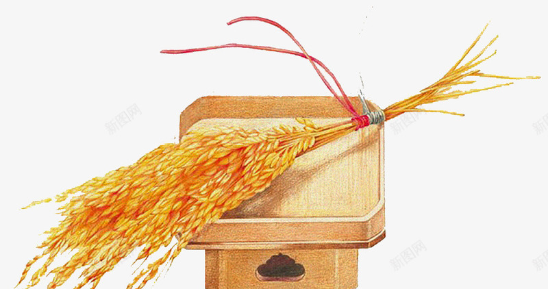手绘小满节气彩铅稻谷装饰插图png免抠素材_88icon https://88icon.com 二十四节气 小满 彩铅 手绘 稻谷 装饰插图