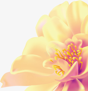 粉色淡雅卡通花朵装饰png免抠素材_88icon https://88icon.com 卡通 淡雅 粉色 花朵 装饰