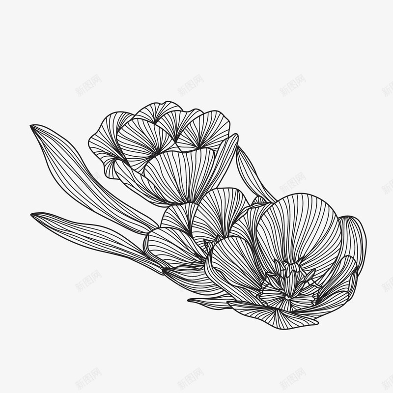 手绘花束黑白png免抠素材_88icon https://88icon.com 创意 复古花卉 富贵 小清新 手绘 手绘花卉 浪漫 玫瑰纹身 玫瑰花 简约 花卉装饰 装饰 边框 黑白 黑白线条花