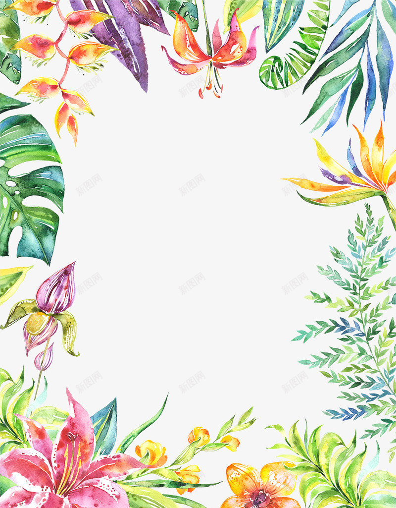 手绘彩色热带植物装配边框png免抠素材_88icon https://88icon.com 彩色 植物 热带 装配 边框