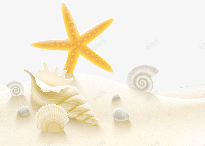夏季沙滩泳海边沙滩psd免抠素材_88icon https://88icon.com 夏天 夏季 夏季沙滩泳海边沙滩 沙滩 沙滩泳 海螺 海边 贝壳