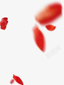 模糊叶子清晰叶子png免抠素材_88icon https://88icon.com png素材 模糊叶子 清晰叶子