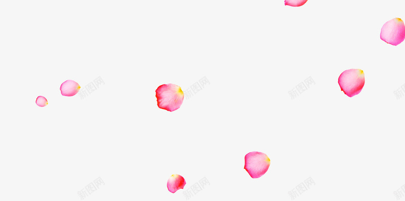 漂浮的花瓣png免抠素材_88icon https://88icon.com 漂浮 玫瑰花瓣 粉红色 芬芳 花瓣