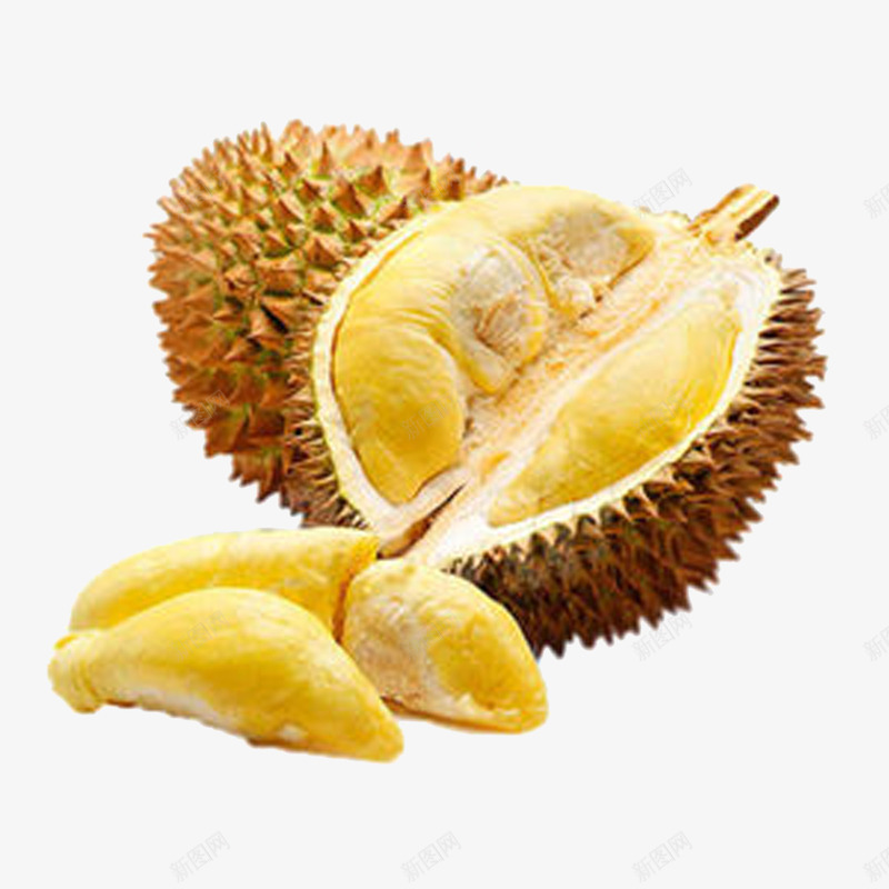榴莲png免抠素材_88icon https://88icon.com 产品实物榴莲水果 树上熟榴莲