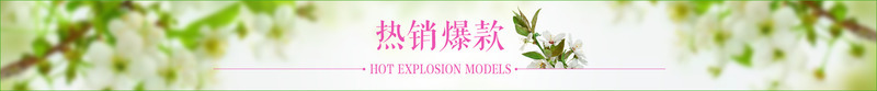 淡雅花卉背景png免抠素材_88icon https://88icon.com 淡雅 淡雅花卉背景 热销爆款