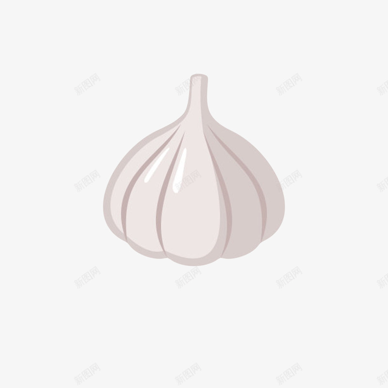 白色健康佐料大蒜头手绘png免抠素材_88icon https://88icon.com 佐料 免扣 免费下载 有机 生态 生物世界 白蒜头 调料