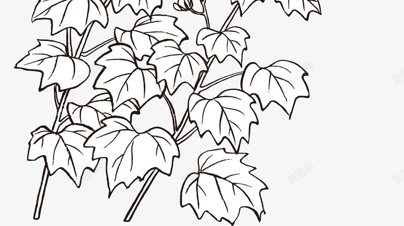 手绘装饰线描花卉蜜蜂图案矢量图ai免抠素材_88icon https://88icon.com 儿童植物简笔画 创意 手绘图案 手绘花朵叶子 手绘风装饰图案 线描花朵 花卉蜜蜂 矢量图