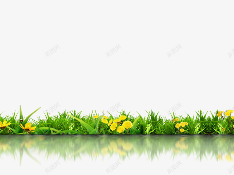 草地黄花png免抠素材_88icon https://88icon.com 草地 黄花