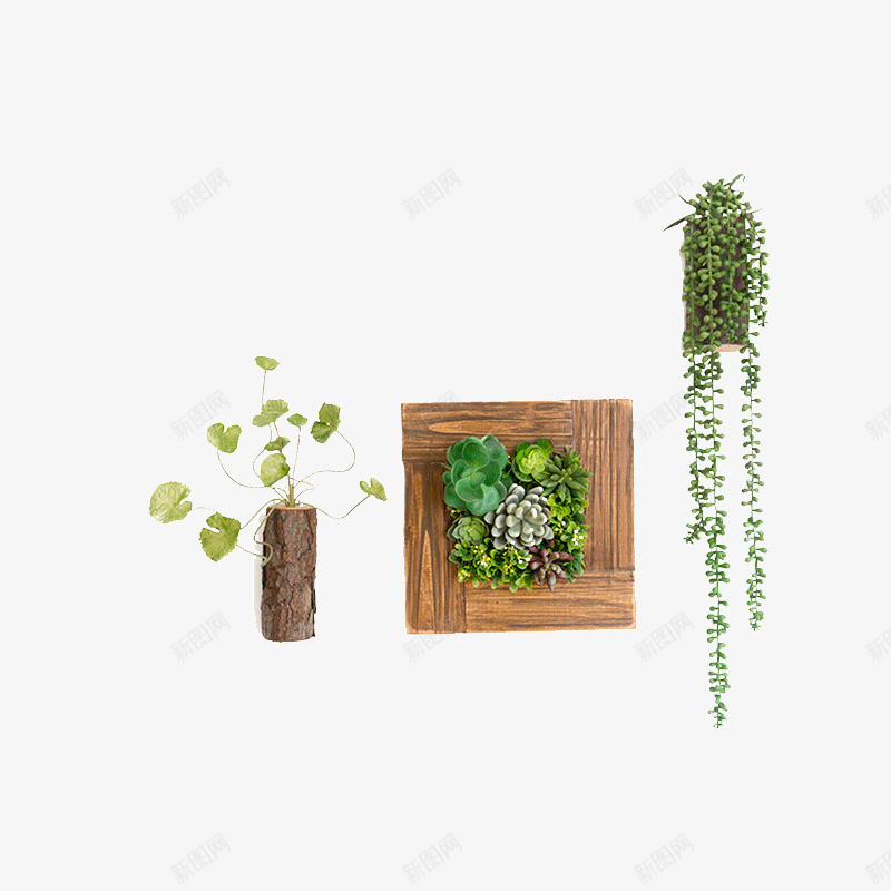 仿真植物壁挂背景墙装饰png免抠素材_88icon https://88icon.com 创意壁挂 壁饰组合 室内墙面装饰挂件 田园壁挂
