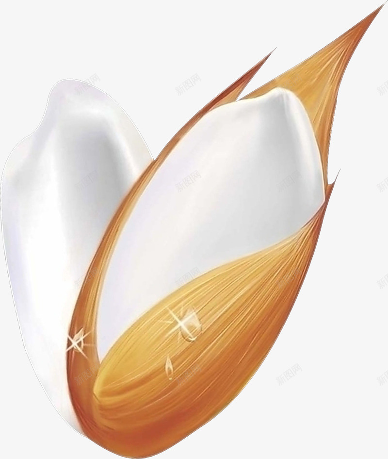 产品实物大米图png免抠素材_88icon https://88icon.com 产品实物高清大米图 星星 白米 稻米 稻谷 米 米饭 谷壳 谷物