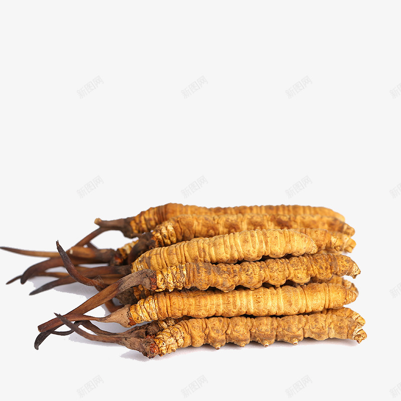 野生冬虫夏草中药png免抠素材_88icon https://88icon.com 中华人民共和国西藏自治区 中国西藏 中药 中药材 产品实物 断草 新草 纯天然 药材 虫草 西藏那曲 道地虫草