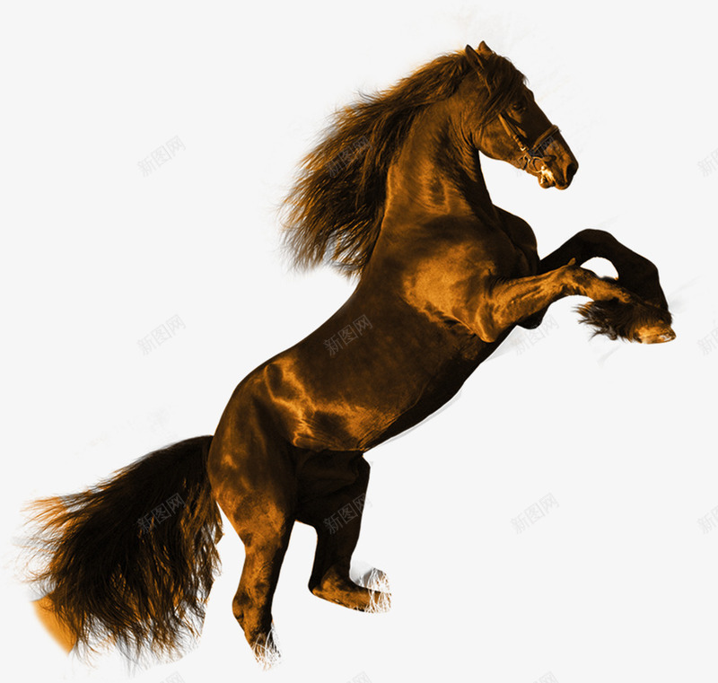 飞舞的骏马招聘png免抠素材_88icon https://88icon.com 招聘 求才 素材 飞舞 骏马
