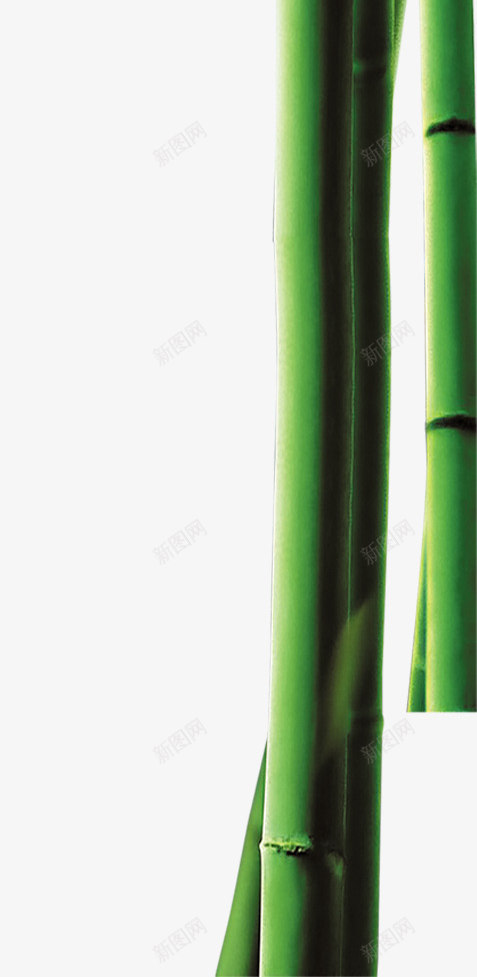 竹子绿叶端午节装饰png免抠素材_88icon https://88icon.com 图片 端午节 竹子 绿叶 装饰