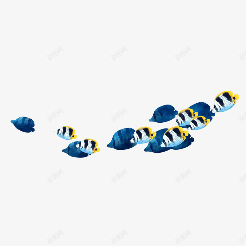 一串蓝黄热带鱼png免抠素材_88icon https://88icon.com 海洋 深海 蓝色 鱼