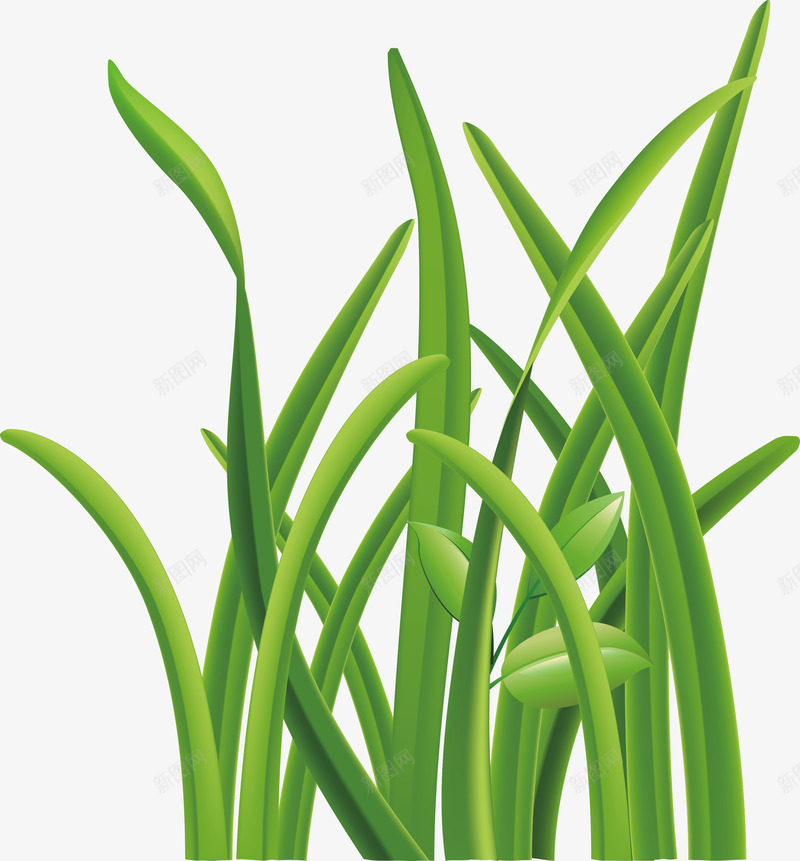 麦苗卡通png免抠素材_88icon https://88icon.com 叶麦苗 大麦苗青 小麦苗 小麦苗字体 干麦苗 露珠 露珠小麦苗 麦苗