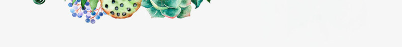 绿色边框psd免抠素材_88icon https://88icon.com 多肉植物 水墨 线条 莲蓬 蕨类植物