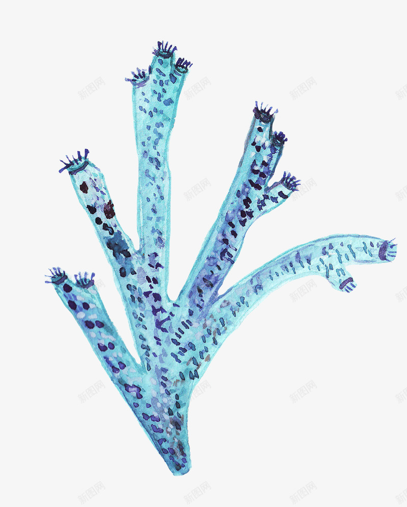 蓝色海草水彩风png免抠素材_88icon https://88icon.com 植物 水彩风 海洋 海草 海葵图片 涂鸦