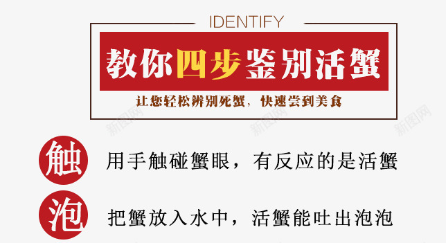 教你四叔鉴别活蟹png免抠素材_88icon https://88icon.com 大闸蟹介绍 教你四叔鉴别活蟹图 淘宝文案