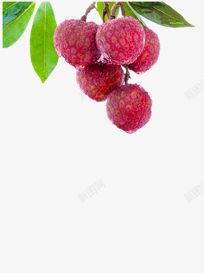 新鲜荔枝png免抠素材_88icon https://88icon.com 水果 清新 红色 绿色