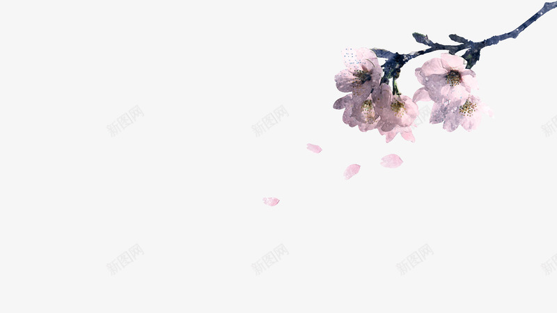 粉色花瓣png免抠素材_88icon https://88icon.com 桃花 淡雅 粉色 花 连体裙