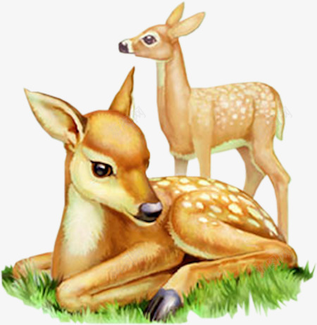 趴在草地小梅花鹿png免抠素材_88icon https://88icon.com 梅花鹿 草地