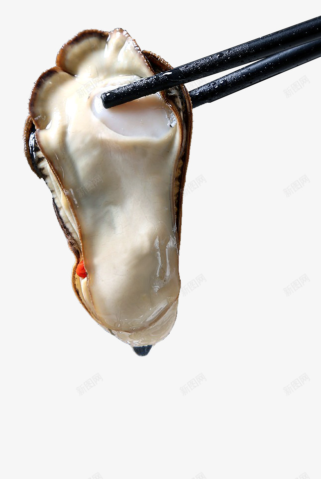产品实物生鲜生蚝png免抠素材_88icon https://88icon.com 新鲜 水产 海蛎子 牡蛎 特大 生蚝 生鲜 肉质鲜嫩 野生 鲜活