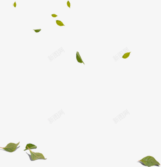 绿色漂浮树叶随意png免抠素材_88icon https://88icon.com 树叶 漂浮 绿色 随意