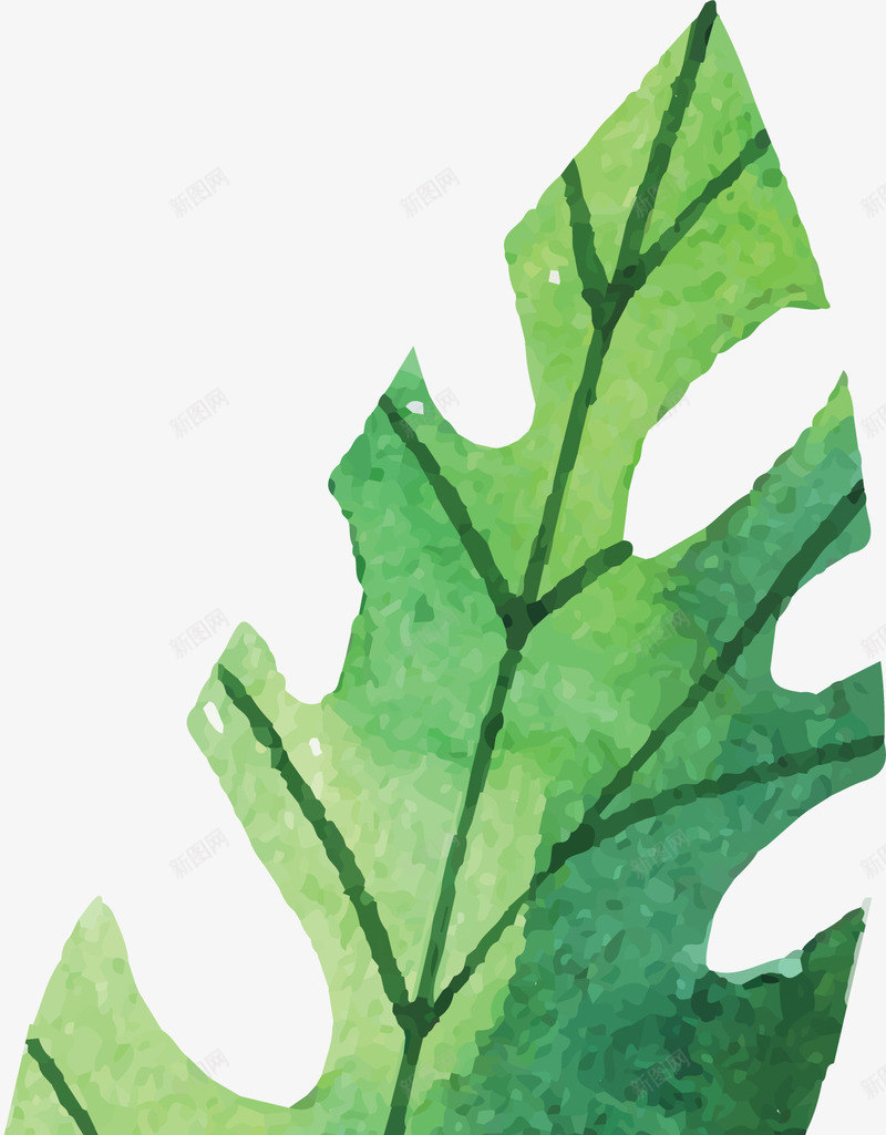 卡通水彩叶子客厅装饰插画png免抠素材_88icon https://88icon.com 北欧装饰 客厅装饰 无框画 水彩 水彩叶子 清新叶子 餐厅装饰画