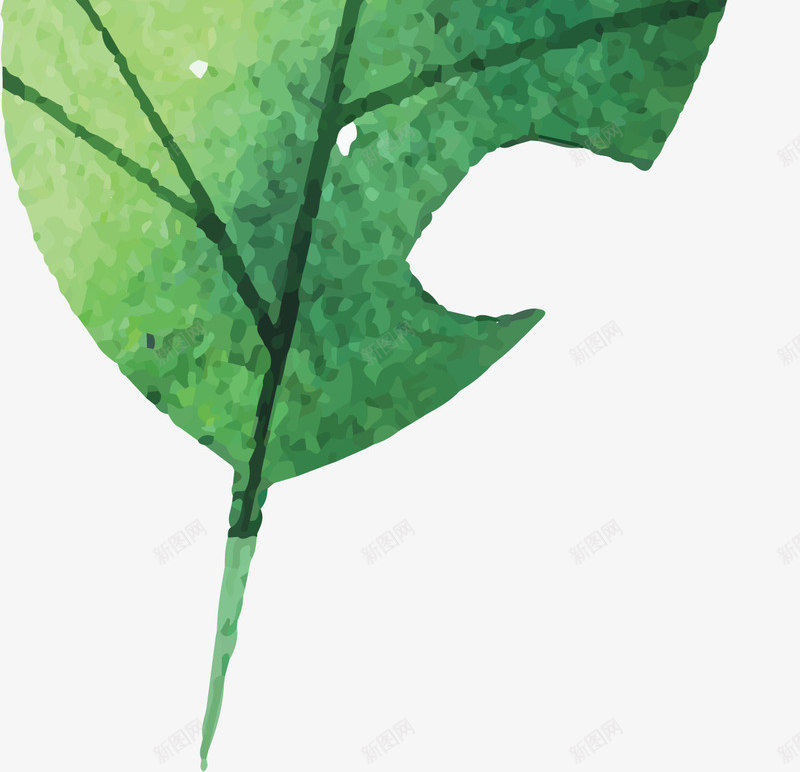 卡通水彩叶子客厅装饰插画png免抠素材_88icon https://88icon.com 北欧装饰 客厅装饰 无框画 水彩 水彩叶子 清新叶子 餐厅装饰画