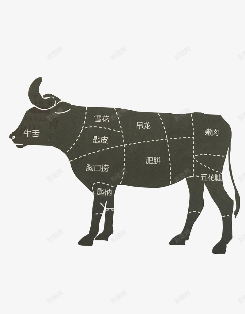 牛部位分割图牛牛png免抠素材_88icon https://88icon.com 分割图 牛肉 牛部位 部位