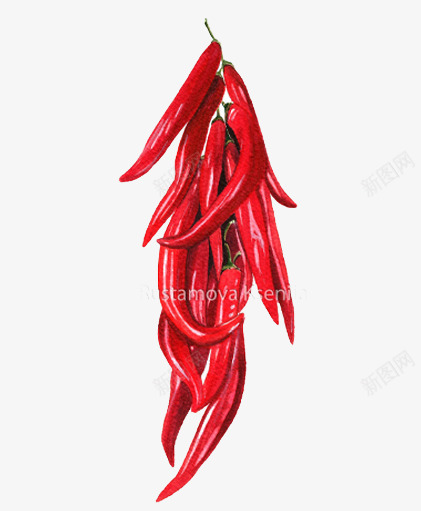 红辣椒png免抠素材_88icon https://88icon.com 一串红辣椒 蔬菜 辣椒