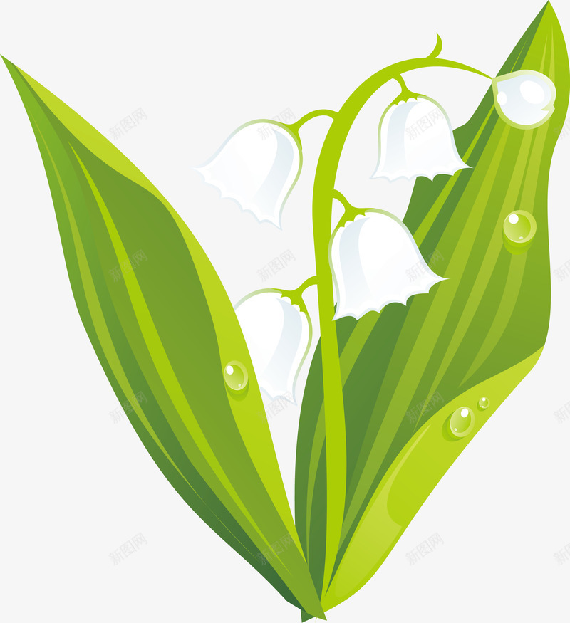 一朵百合花一枝百合花矢量图ai免抠素材_88icon https://88icon.com 小百合花 白色百合花 百合花 百合花叶子 百合花水墨 百合花相框 百合花素描 百合花花纹 百合花蕊 百合花蕾 素描百合花 矢量图