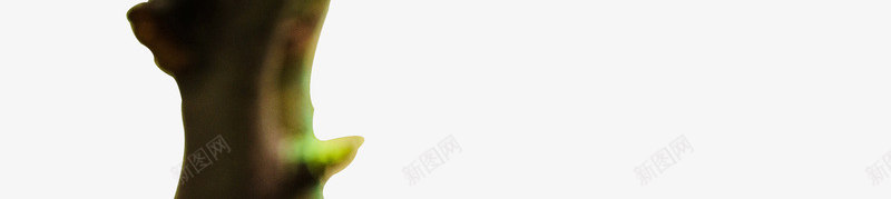 呆萌的小蜥蜴png免抠素材_88icon https://88icon.com 可爱 呆萌 宠物 枝头 蜥蜴