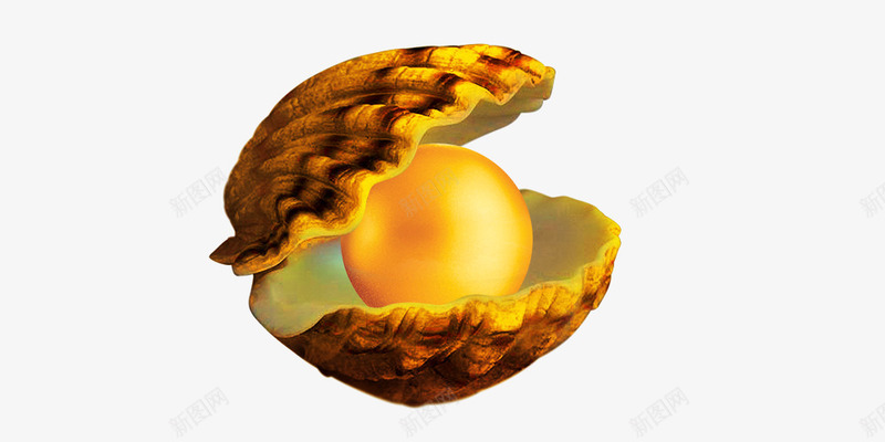 珍珠png免抠素材_88icon https://88icon.com 珍珠 蚌 蛤蚌 贝壳