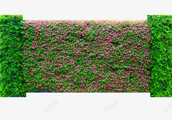 利用植物来砌墙png免抠素材_88icon https://88icon.com 减少噪音 好处 环境 绿化 绿植墙 美化